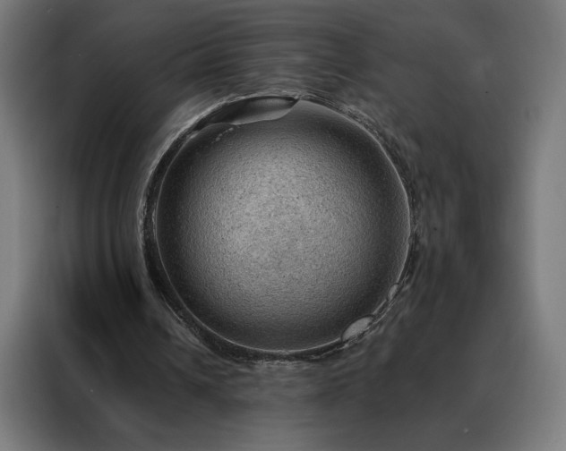 X0000088160242200705221607