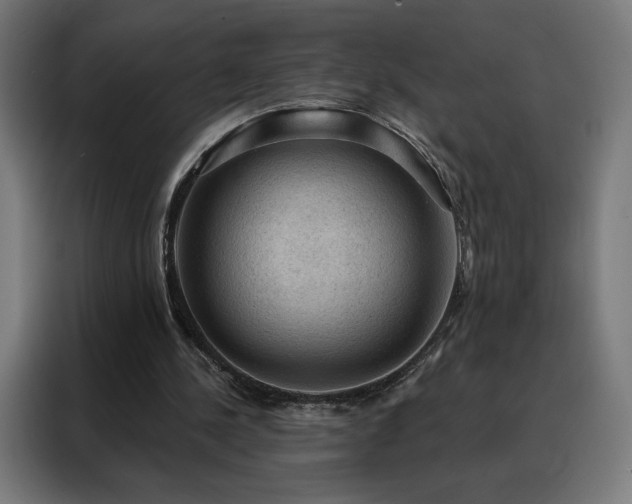 X0000088160244200705221607