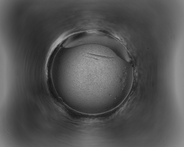 X0000088160246200705221607