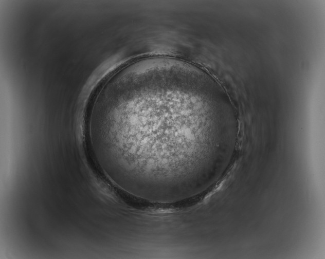 X0000088160247200705221607