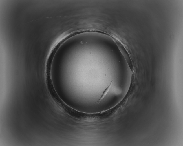 X0000088160248200705221607