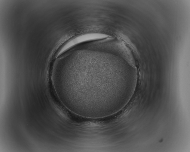 X0000088160250200705221607