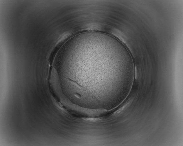 X0000088160253200705221607