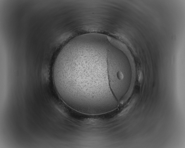 X0000088160255200705221607