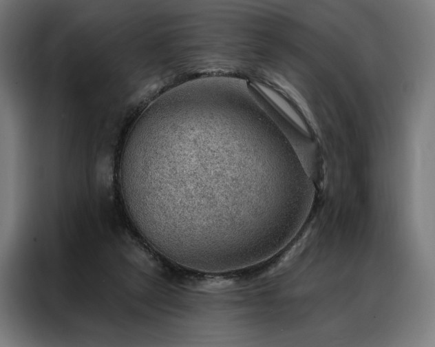 X0000088160257200705221607