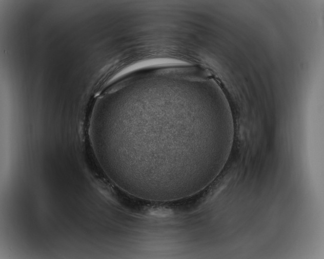 X0000088160258200705221607