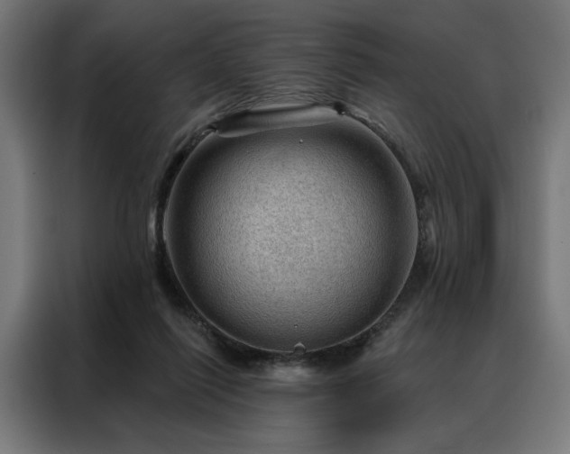 X0000088160262200705221607