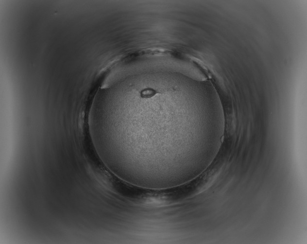 X0000088160263200705221607