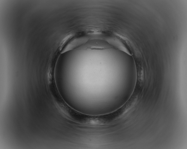 X0000088160264200705221607