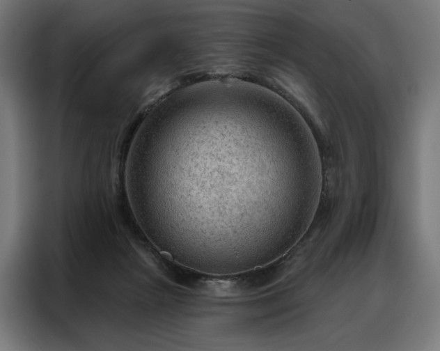X0000088160265200705221607