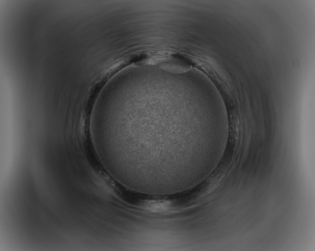 X0000088160266200705221607