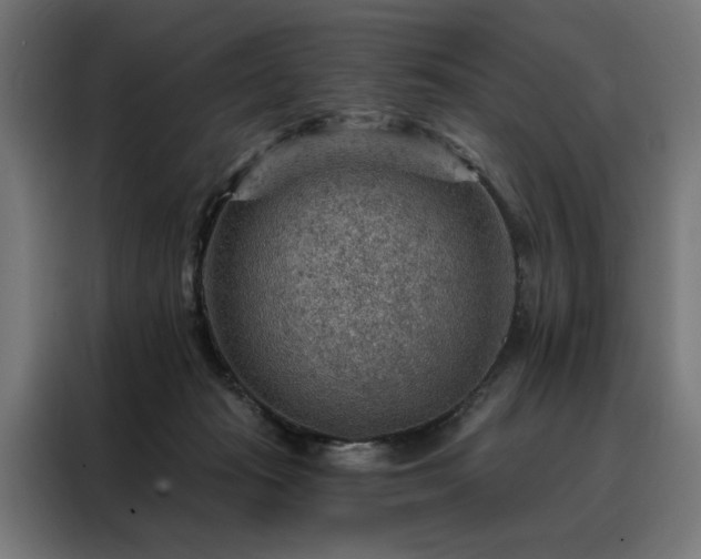 X0000088160269200705221607