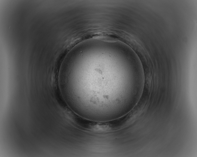 X0000088160270200705221607