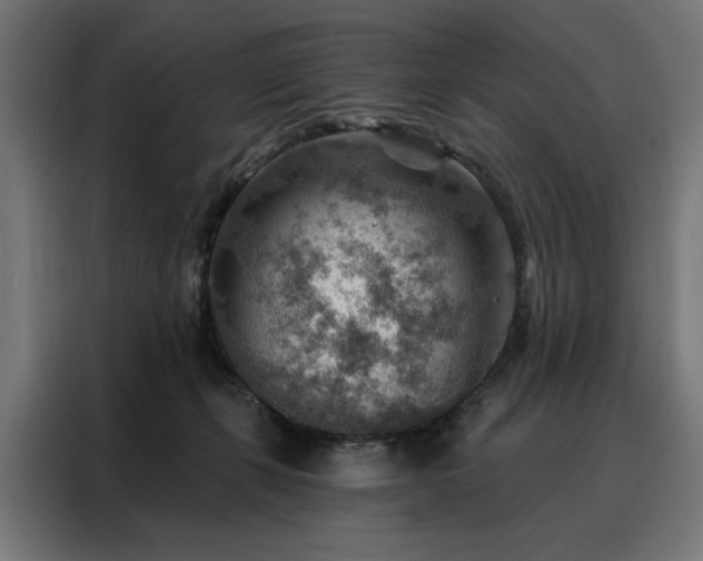 X0000088160271200705221607
