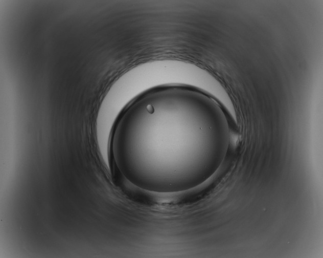 X0000088160272200705221607