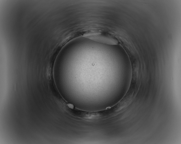 X0000088160274200705221607
