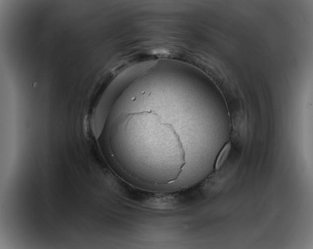 X0000088160278200705221607