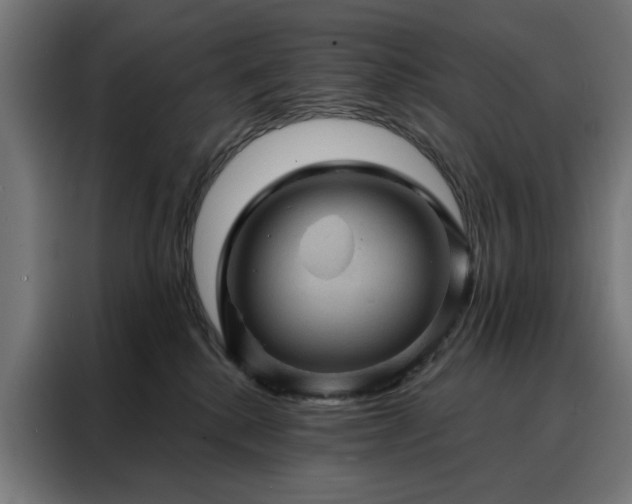 X0000088160280200705221607