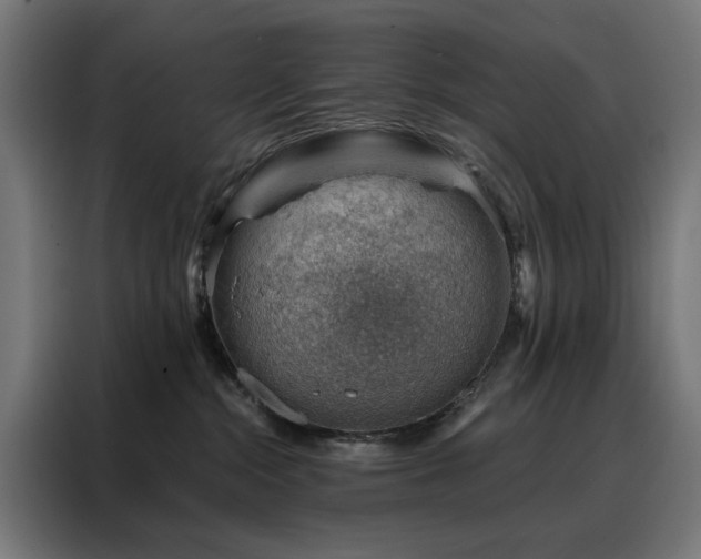 X0000088160284200705221607