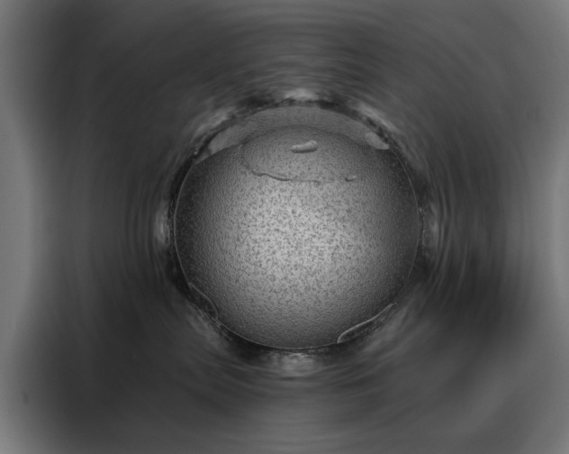 X0000088160287200705221607