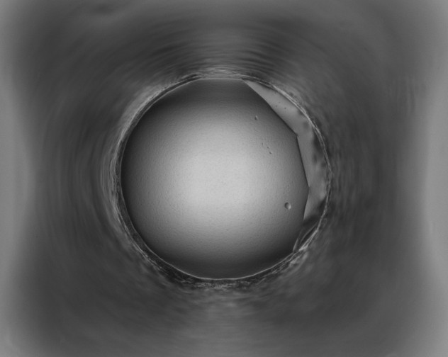 X0000088160289200705221607