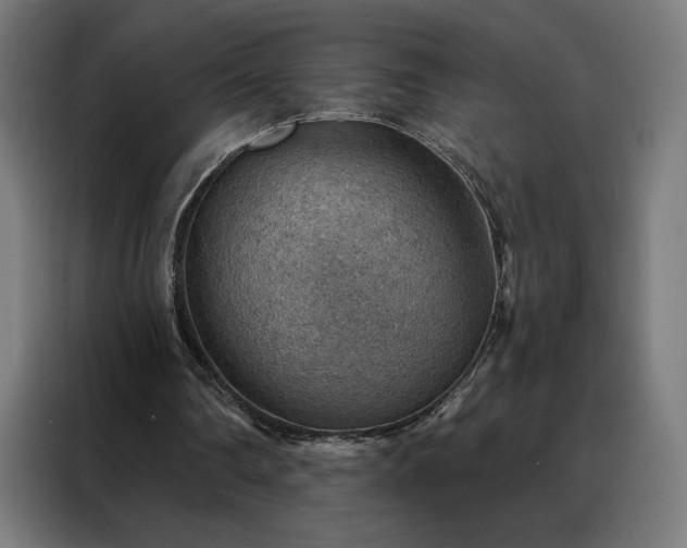 X0000088160290200705221606