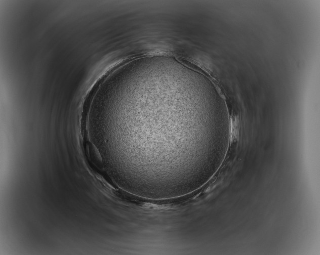 X0000088160291200705221606