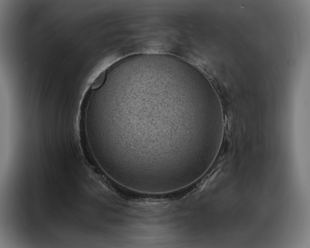 X0000088160292200705221606