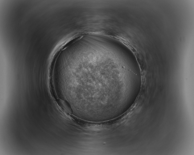 X0000088160293200705221606