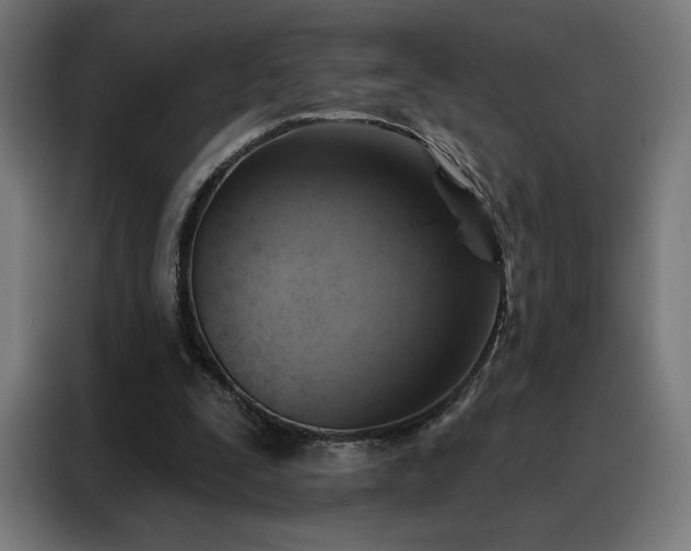 X0000088160295200705221606