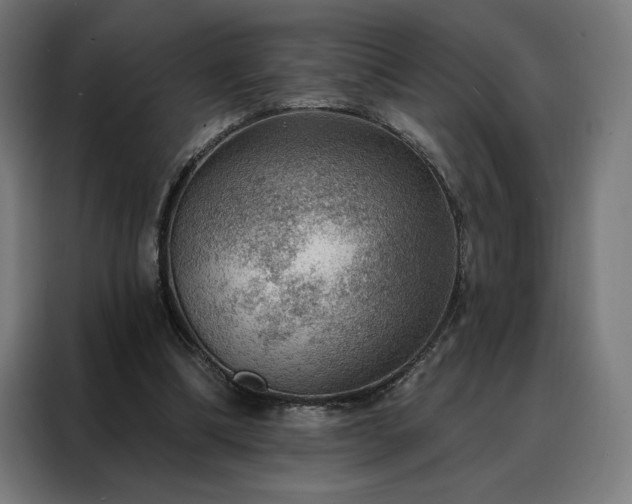 X0000088160298200705221606