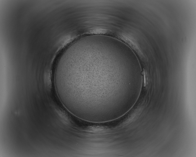 X0000088160300200705221606