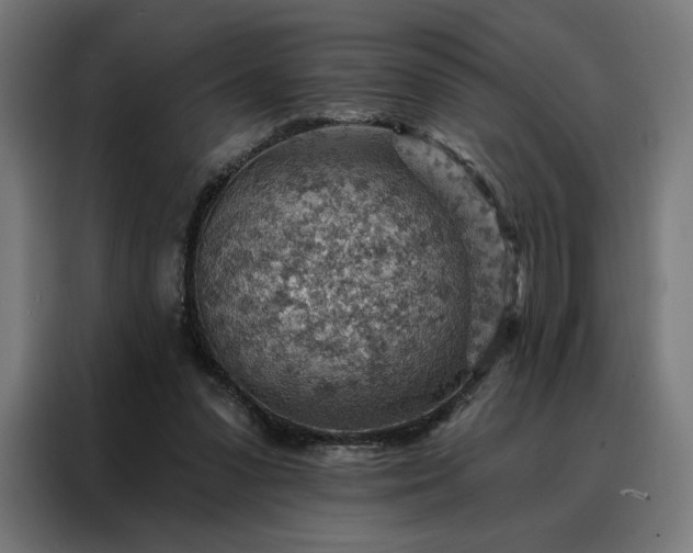 X0000088160303200705221606