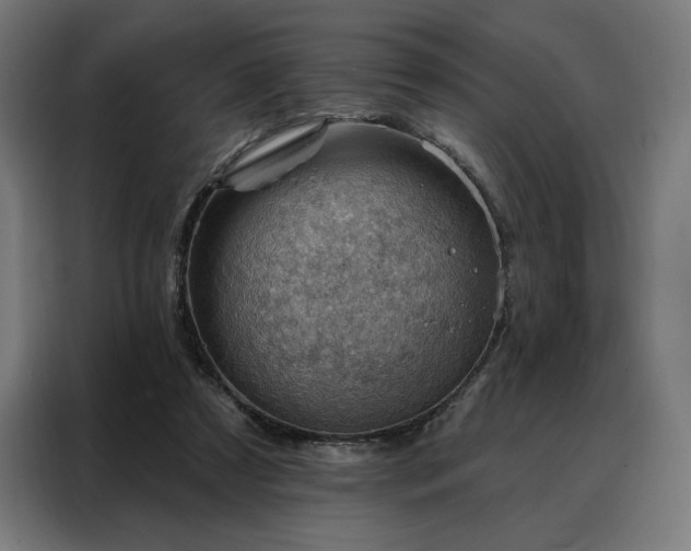 X0000088160305200705221606