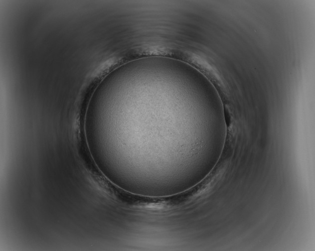 X0000088160306200705221606
