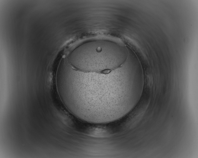 X0000088160308200705221606
