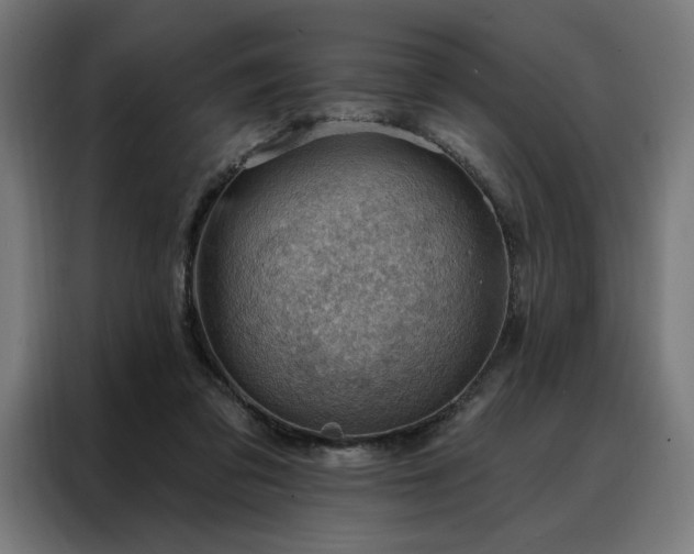 X0000088160309200705221606