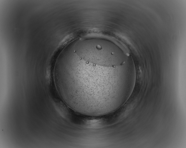 X0000088160312200705221606