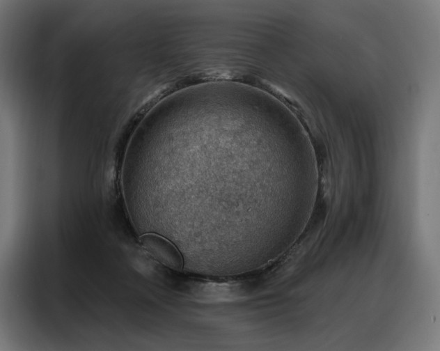 X0000088160314200705221606