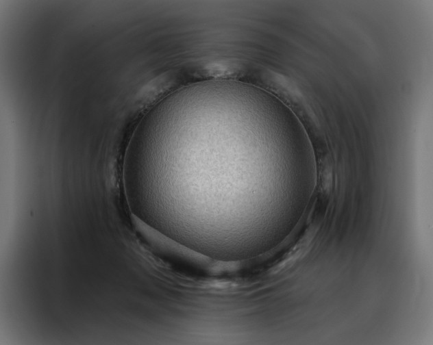 X0000088160317200705221606