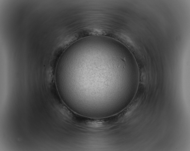 X0000088160318200705221606
