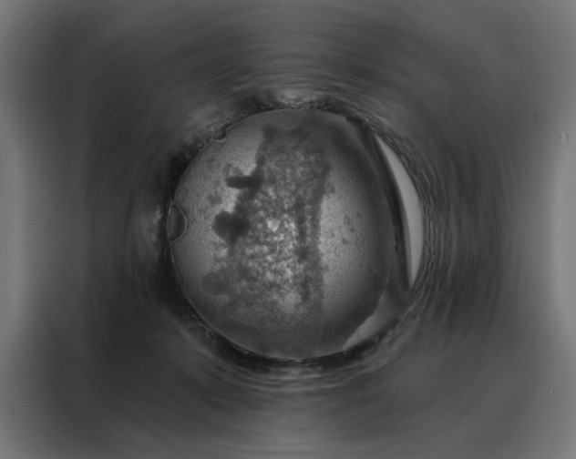 X0000088160319200705221606