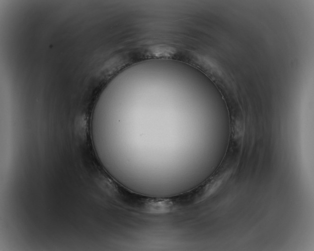 X0000088160321200705221606