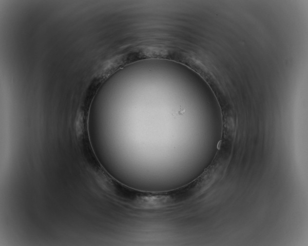 X0000088160323200705221606