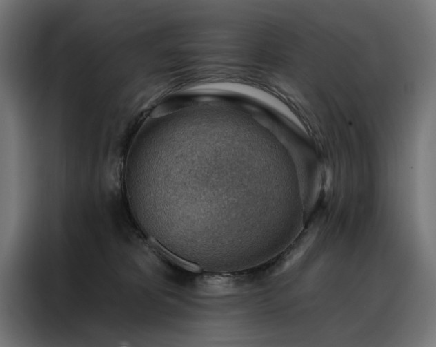 X0000088160325200705221606