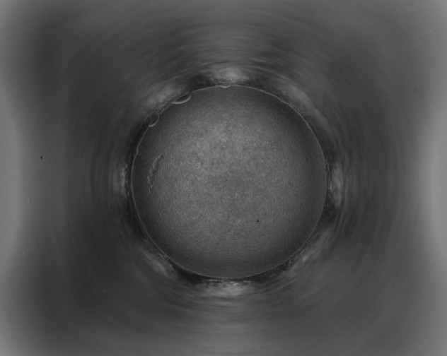 X0000088160330200705221606