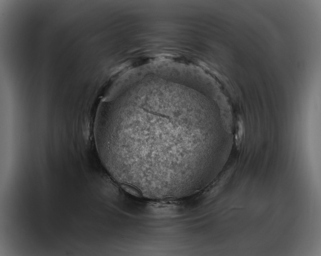X0000088160331200705221606