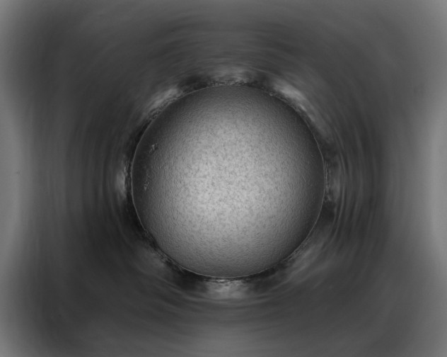 X0000088160334200705221606