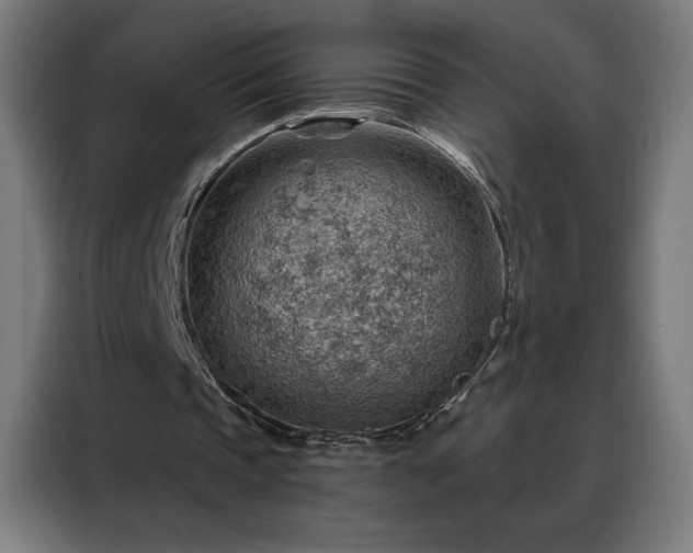 X0000088160337200705221605
