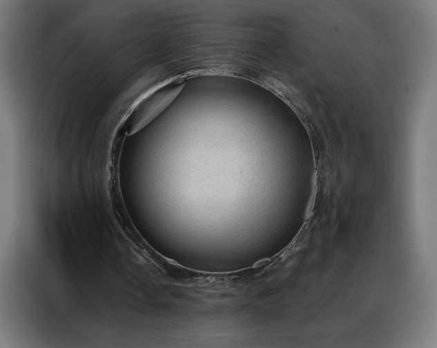 X0000088160338200705221605
